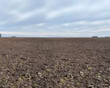 Vendo Campo Agrícola-papero 540ha Sobre Asfalto, Miramar