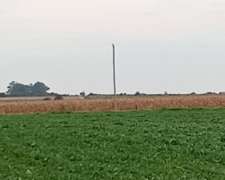 Campo En Algarrobitos Nogoyá 120 Ha Agrícolas