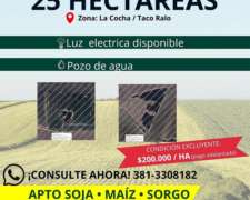 25 Ha Agrícolas Premium Luz, Pozo y Pago Adelantado la C