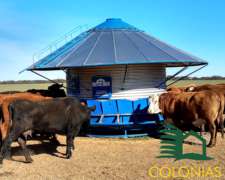 Silos Comedero Reforzados y Estándar - Colonias Menonitas