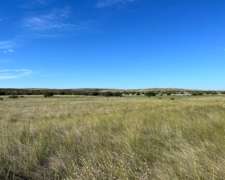 7500 Hectáreas Algarrobo, BS. AS.