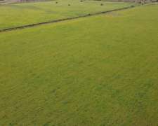280 Hectáreas Agrícolas, Todas las Mejoras. Gualeguaychú.