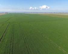65 HA. Agrícola Optimo. Chovet (santa FE)