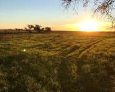 Dolores, Buenos Aires - 1.573 Ha