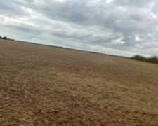 Agricola Oportunidad– Despeñaderos – Córdoba