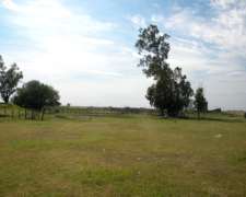 12 Ha en General Alvear MZA 40000 Dolares Sisi Leiste Bien