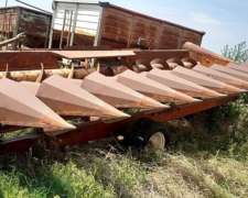 Maicero Mainero 1889 Disponible