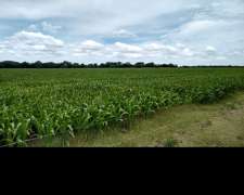 30 Ha Mixtas en Villa Ocampo.