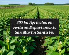 Vendo Campo Agrícola en Colonia Belgrano