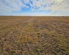 Campo en Ordoñez CBA Agricola Ganadero - Bernasconicampos