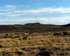 Campo 21000 Has - U$S 15/ha