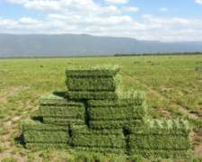 San Rafael Finca de 64 Has con Pozo Sobre Ruta 154