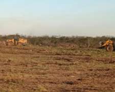 Desmonte en Corrientes y Zona
