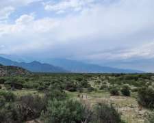 Terreno en el Paso, Limite Tucuman - Catamarca , Ruta 40 -