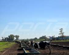 Comedero de Goma (sin Iva) 9 Metros Línea Pesada