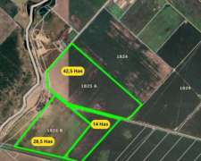 Campo de 85 Hectáreas Agrícolas en San Nicolas