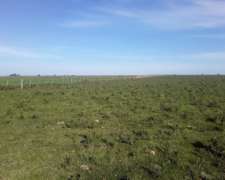 54 Hectareas Agricolas Entre Rios