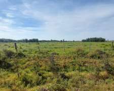 Se Vende 370 Ha Entre Moisés Ville y Capivara