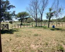 Campo en Venta - 460 Ha - Naschel, San Luis