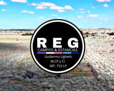 6000 Hectáreas Ganaderas Martin de Loyola San Luis