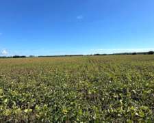 Campo Agrícola 26 Has San Pedro