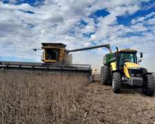 Cosechadora Challenger 520c 2024