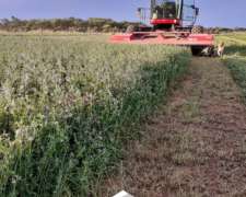 Vendo Campos en Todo Cordoba