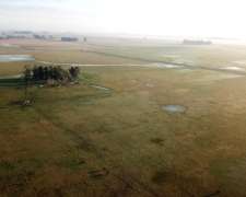 300 Ha Ganaderas Labardén, Pdo. Gral. Guido, Pcia. BS. AS.