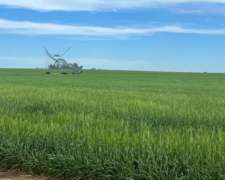 Campo Agrícola 900 Hectáreas