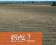 Campo Agricola en Venta 200 Hectareas Chacabuco