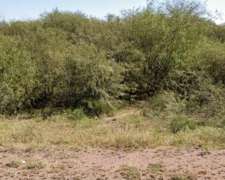 Vendo, Dpto Pellegrini SGO del Estero