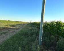 3000 Ha Mixtas la Maruja