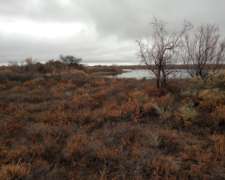 Campo Apto Coto de Caza