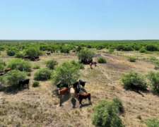 Pcia. de Formosa - San Martin N°2 7055 Has