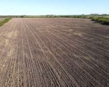 20 Hectáreas Agrícolas Sobre Ruta, Gualeguaychú