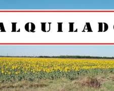 Alquilado Campo 64 Ha en San Mariano, Santa FE