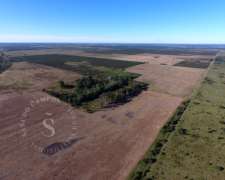 Campo Mixto. 687 HA. San Justo, Santa FE.