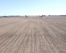 Ba3679 Venta 64 HA. Agricola Capitan Sarmiento Buenos Aires
