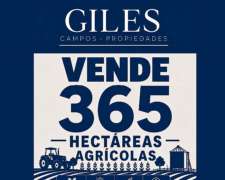 Campo Agrícola 365 Hectáreas Pergamino
