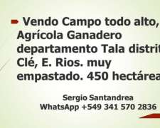 Campo Agricola Ganadero 400 Hectáreas