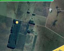 12 Ha San Ramon Entre Rios. 5 con Monte para Cortar