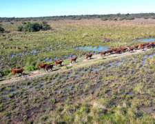 409 Hectáreas en el Departamento de Saladas