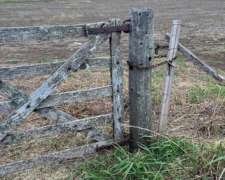 La Esquina (san Luis) 300 Has Agricolas