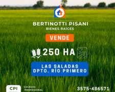 250ha. en las Saladas