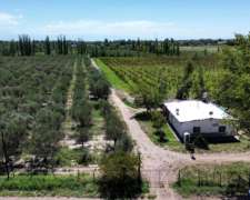Finca de 17ha con D° Riego y Pozo