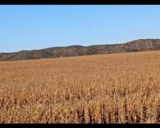 Campo en Venta Zona Saladillo, San Luis