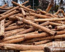 Poste Itin X1.60m Estacon P/ Boyero Agraso Maderas 2025