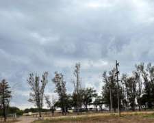 Las Lajitas, Salta - 500 Ha