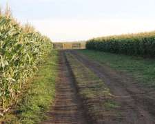 13 Has en Oncativo Sobre Autopista