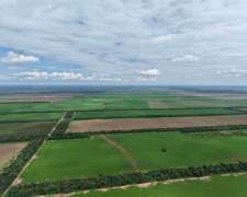 Pcia. de Salta - Campichuelo 1200 Ha